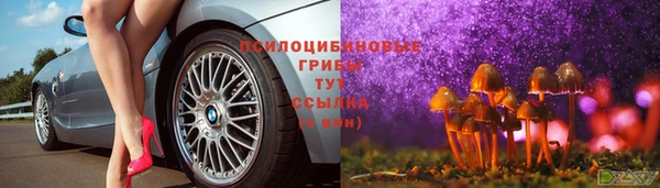 a pvp Алексеевка