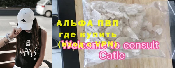 гидра Алексин