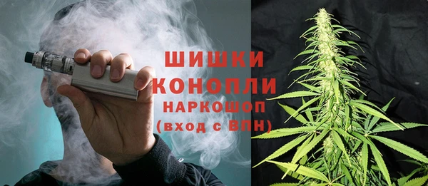 гидра Алексин