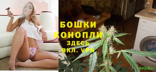 гидра Алексин