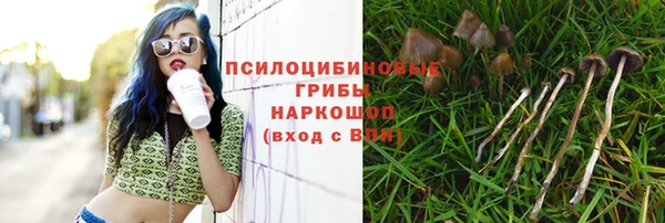 a pvp Алексеевка