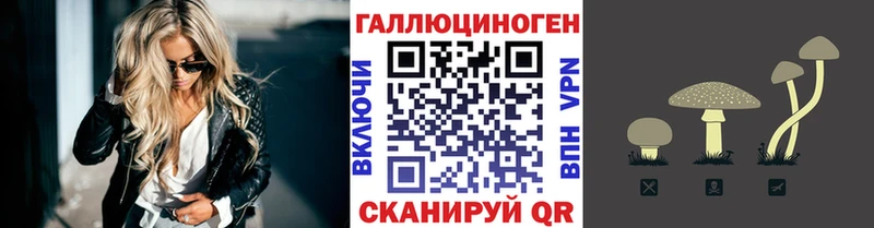 Псилоцибиновые грибы мицелий  закладки  Кимовск 