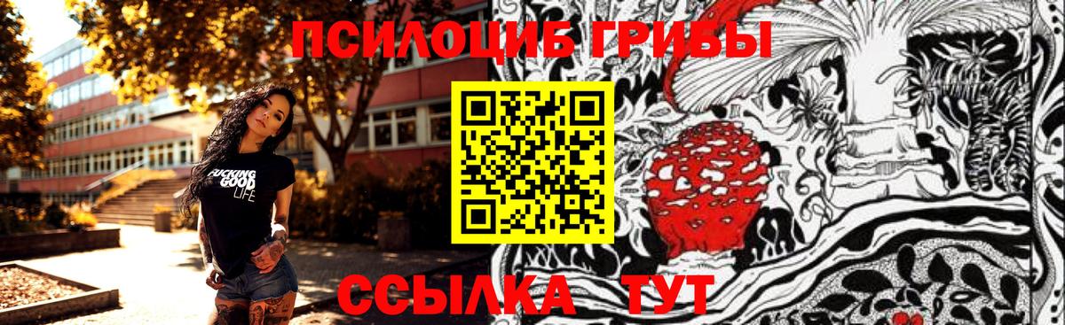 Кимовск  Псилоцибиновые грибы MAGIC MUSHROOMS  Вход с VPN 