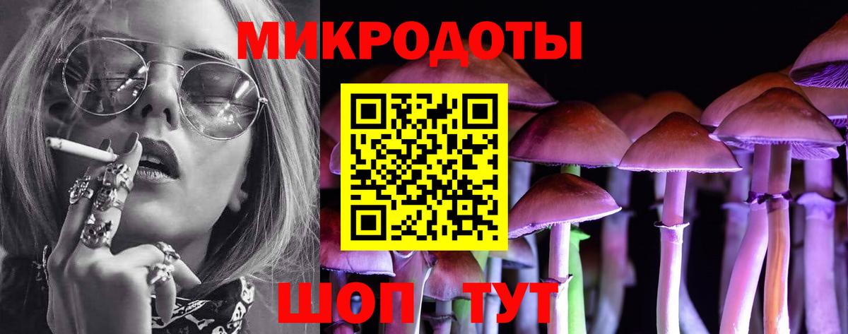 Псилоцибиновые грибы мицелий Кимовск